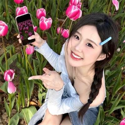 不疯不狂不爱你